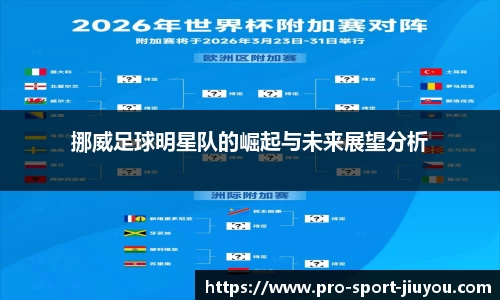挪威足球明星队的崛起与未来展望分析